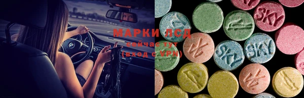 спиды Бородино