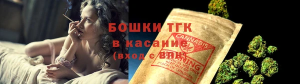 спиды Бородино