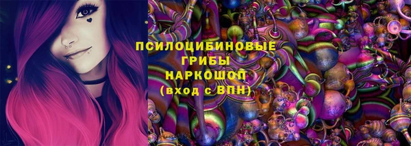 спиды Бородино
