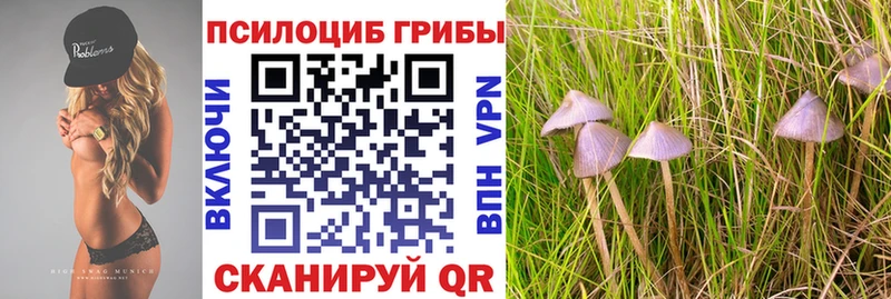 Псилоцибиновые грибы прущие грибы  хочу наркоту  Вяземский 